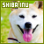 shiba stamp